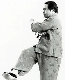Cheng Tin-Hung