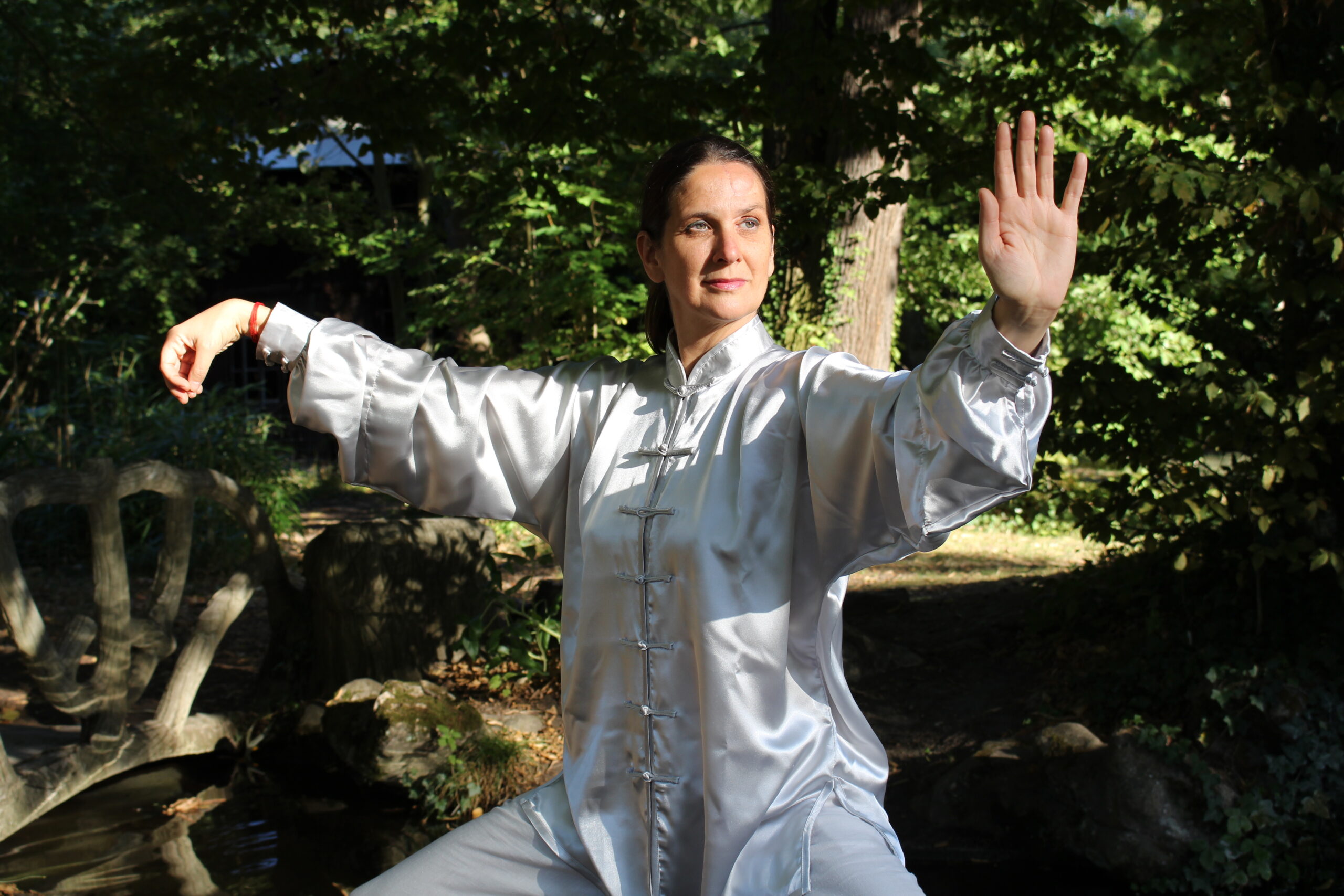 [Blois] Stage de Tai Chi Chuan avec Dominique Robin 15 & 16/11/2025