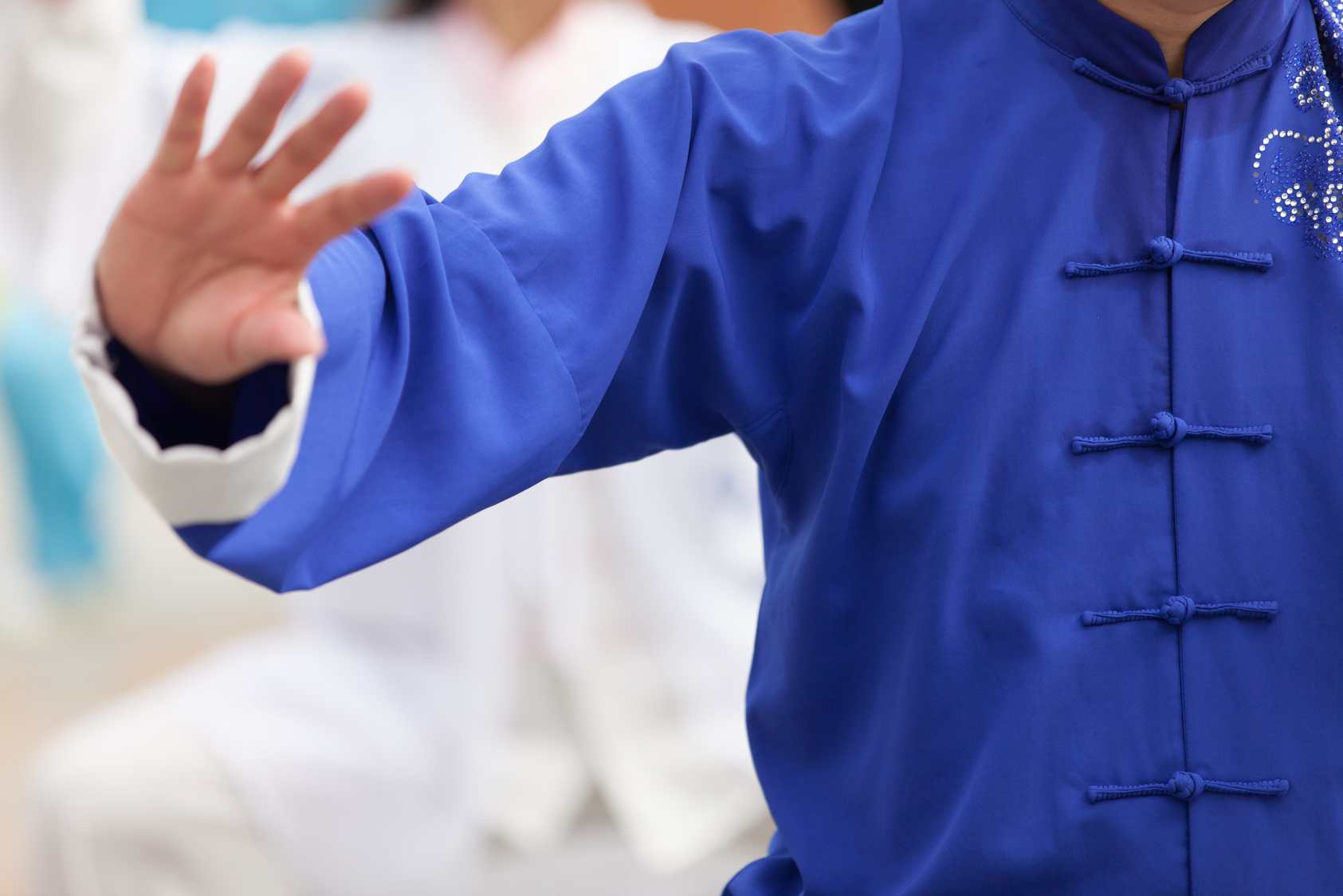 [Blois] Stage de Tai Chi Chuan 24/01/2026