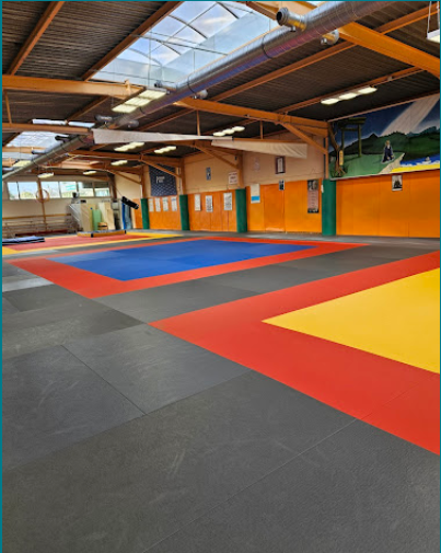 Nouveau : cours de Tai Chi Chuan à Vineuil (41)